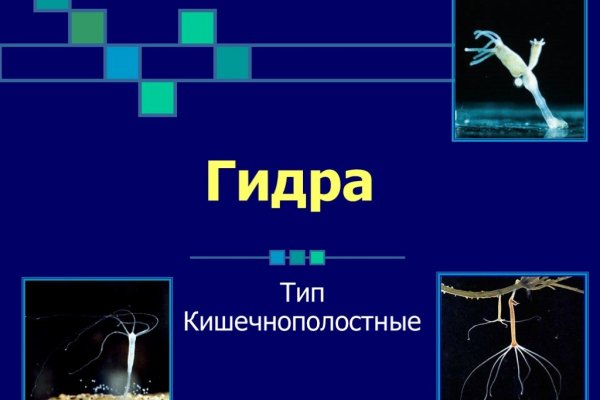 Кракен krakken15at com