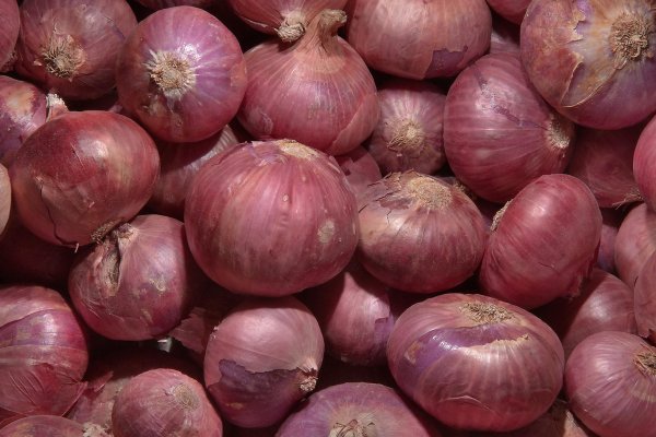 Кракен зеркало onion